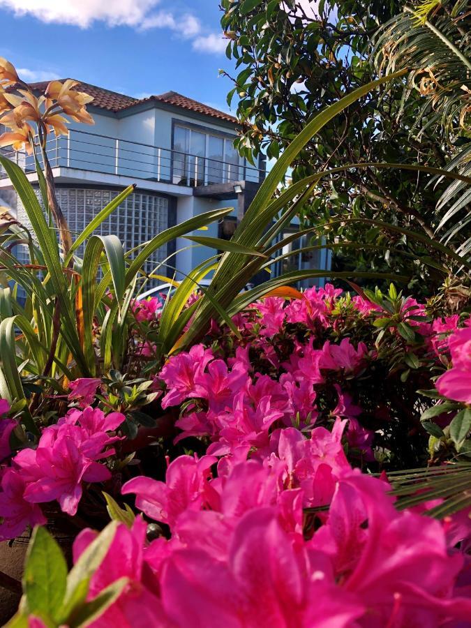 فيلا Quinta Da Bela Vista Ponta Delgada المظهر الخارجي الصورة